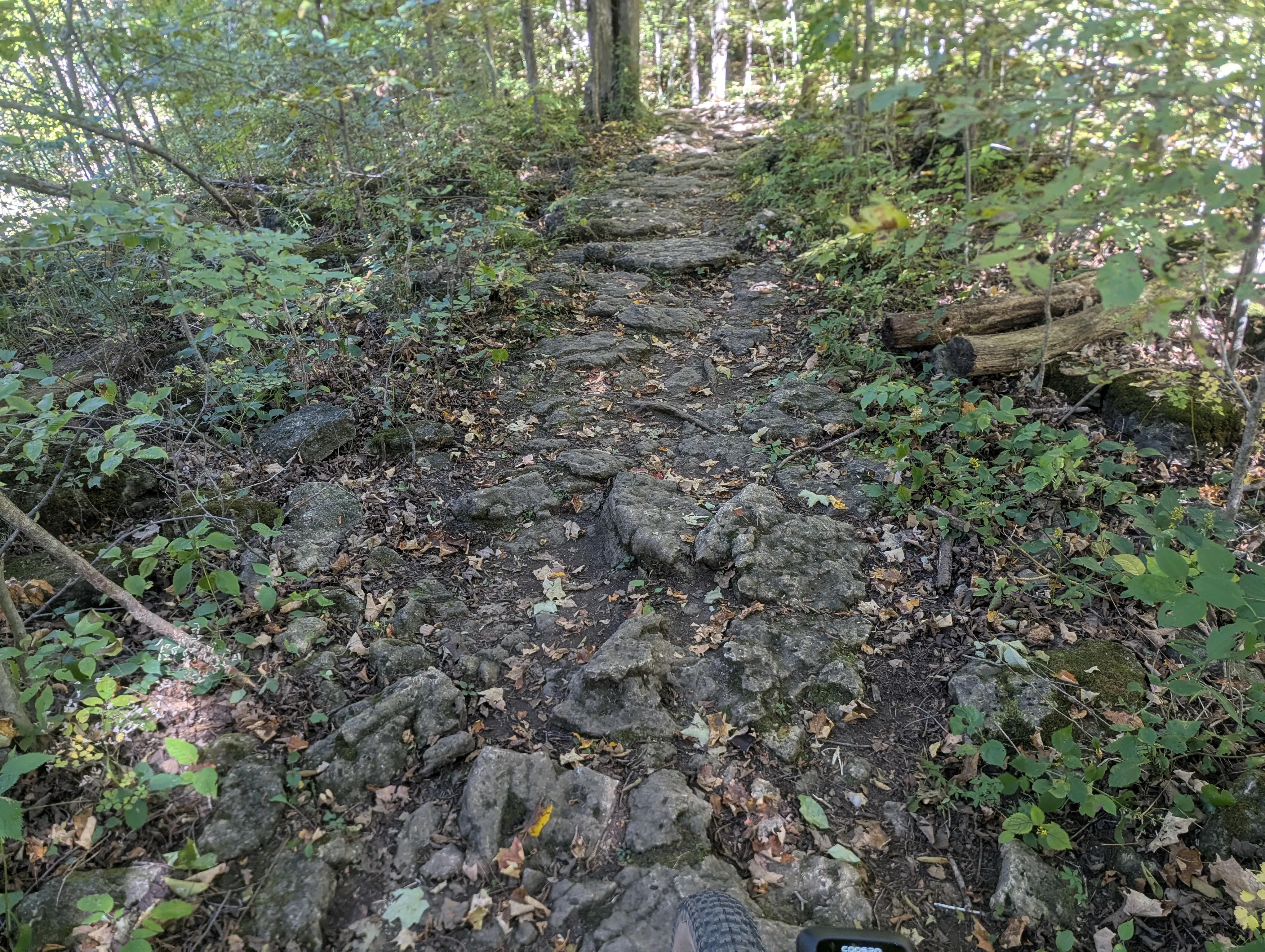 A rocky Hilton Falls trail that demanded constant line choice