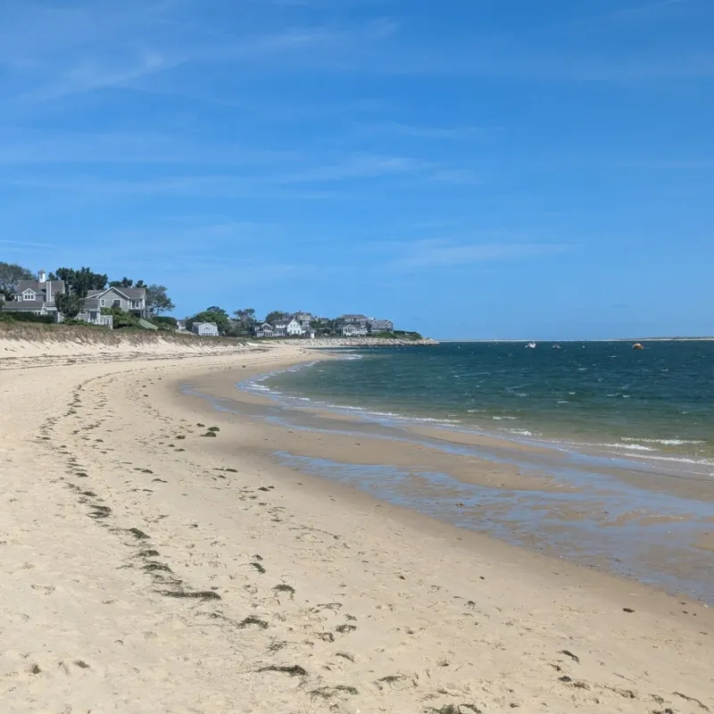 Cape Cod photo dump 🍾🦭🦞🥾⛱️