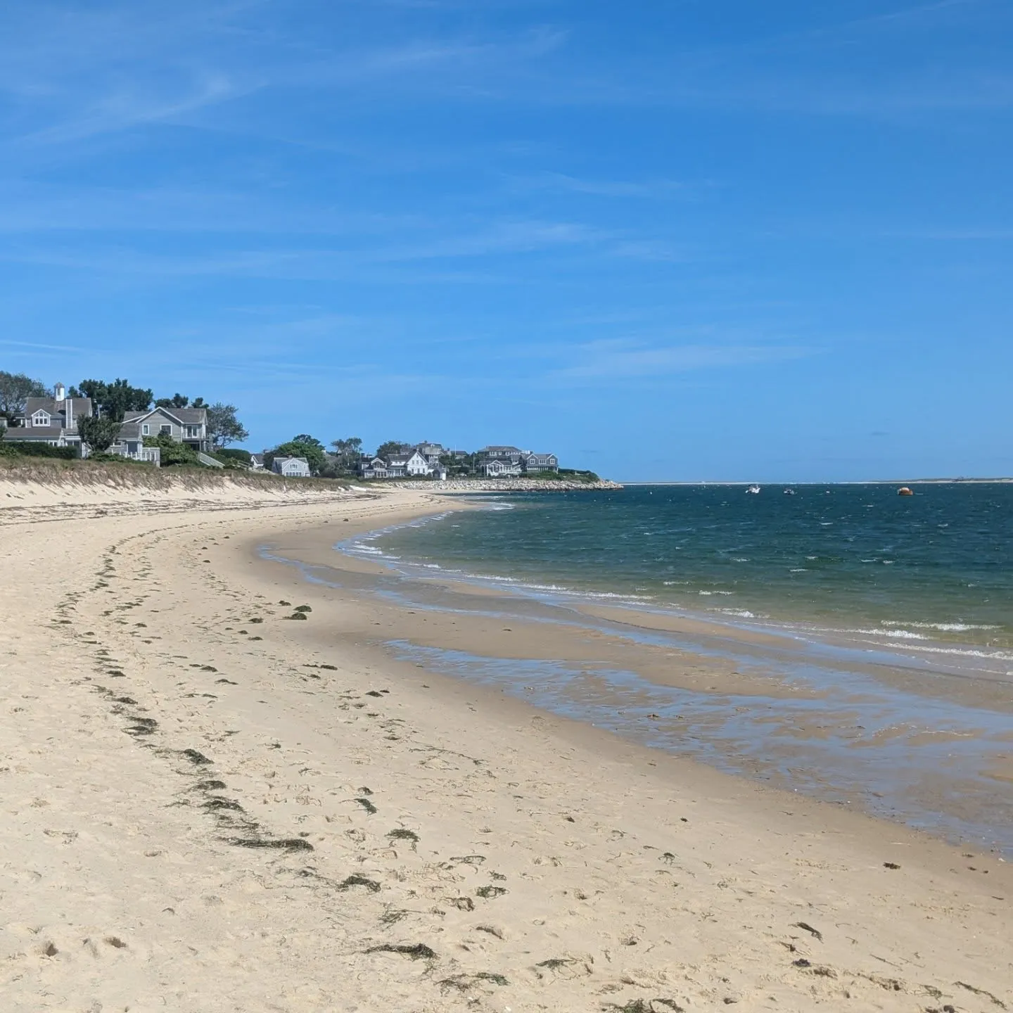 Cape Cod photo dump 🍾🦭🦞🥾⛱️