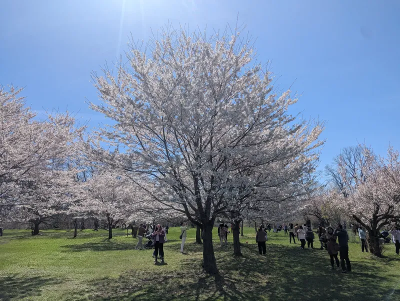 Royal Botanical Gardens